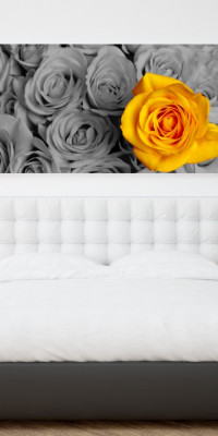 TPF181 - vászonkép