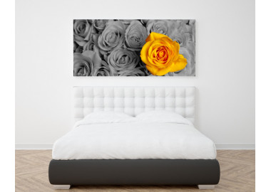 TPF181 - vászonkép