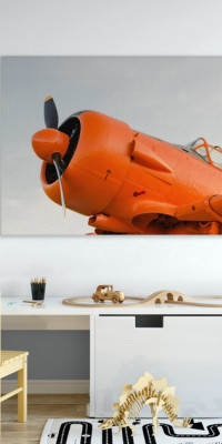 TPF210 - vászonkép