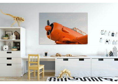 TPF210 - vászonkép