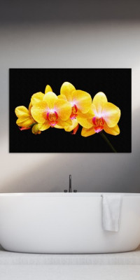 TPF240 - vászonkép