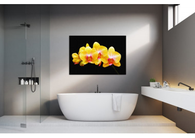 TPF240 - vászonkép