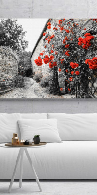 TPF242 - vászonkép