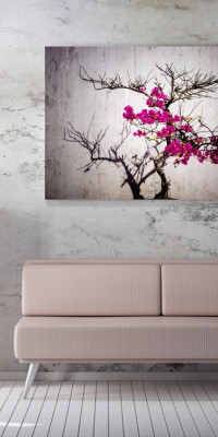 TPF245 - vászonkép