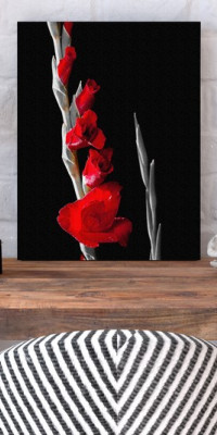 TPF278 - vászonkép