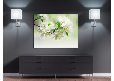 TPF281 - vászonkép