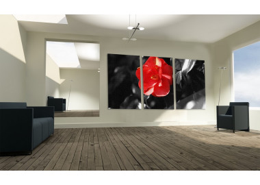 TPF286 - vászonkép