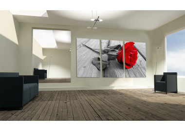 TPF287 - vászonkép