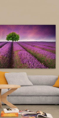 TPT002 - vászonkép