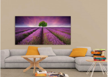 TPT002 - vászonkép