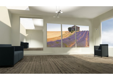 TPT015 - vászonkép