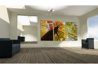 TPT033 - vászonkép