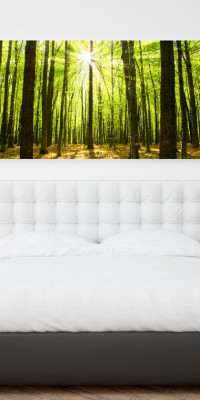 TPT034 - vászonkép