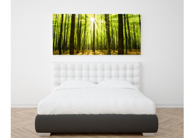 TPT034 - vászonkép