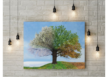 TPT042 - vászonkép