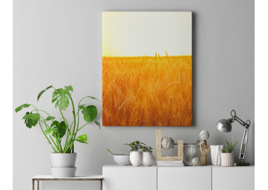 TPT091 - vászonkép