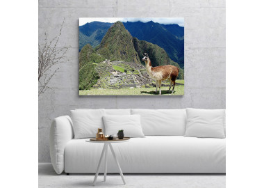 TPT108 - vászonkép