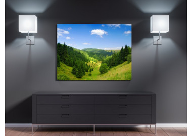 TPT115 - vászonkép