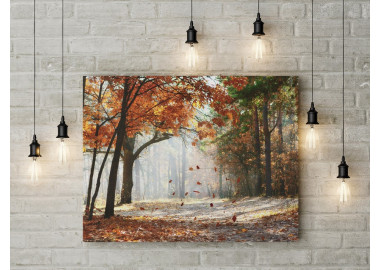 TPT117 - vászonkép