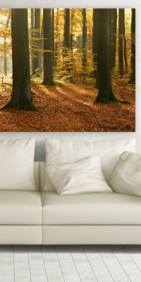 TPT128 - vászonkép