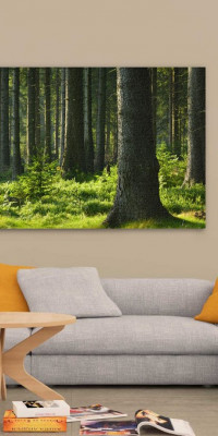 TPT129 - vászonkép