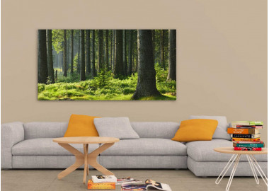 TPT129 - vászonkép