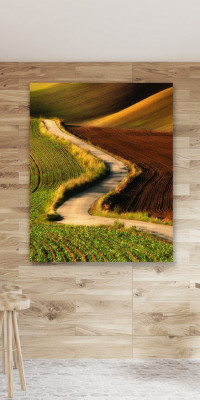 TPT130 - vászonkép