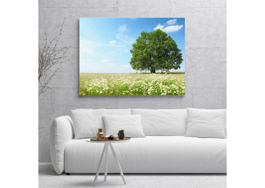 TPT225 - vászonkép