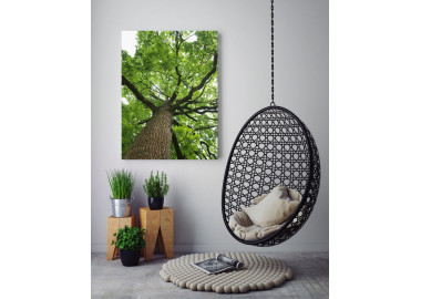 TPT226 - vászonkép