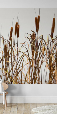 Böjtös Attila: BA-TA-001