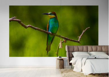 Böjtös Attila: BA-TA-003