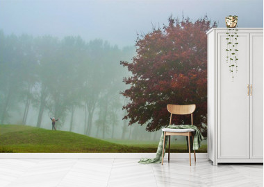 Böjtös Attila: BA-TA-005