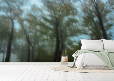 Böjtös Attila: BA-TA-006