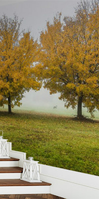 Böjtös Attila: BA-TA-009