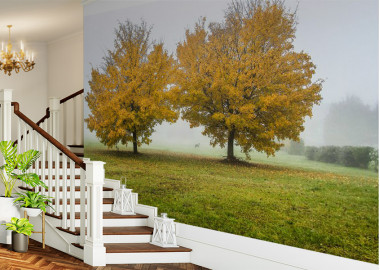 Böjtös Attila: BA-TA-009