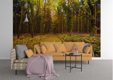 Böjtös Attila: BA-TA-017