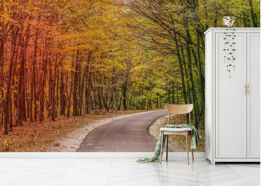 Böjtös Attila: BA-TA-020