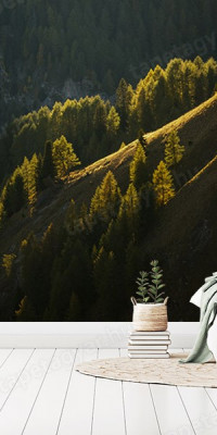 Böjtös Attila: BA-DO-006