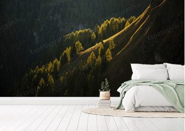 Böjtös Attila: BA-DO-006