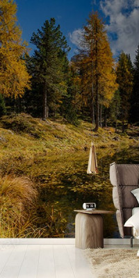 Böjtös Attila: BA-DO-033