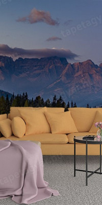 Böjtös Attila: BA-DO-038