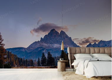 Böjtös Attila: BA-DO-039