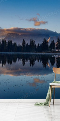 Böjtös Attila: BA-DO-041