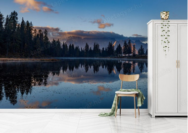 Böjtös Attila: BA-DO-041