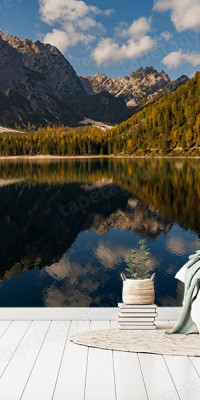 Böjtös Attila: BA-DO-048