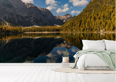 Böjtös Attila: BA-DO-048