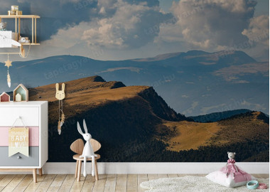 Böjtös Attila: BA-DO-055