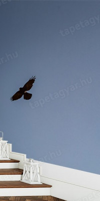 Böjtös Attila: BA-DO-064