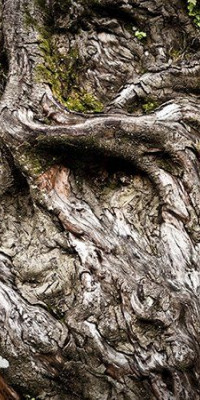 Poszter fiataloknak TPF298