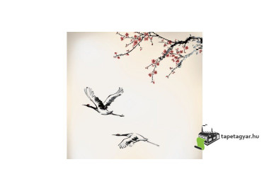 Poszter fiataloknak TPF305